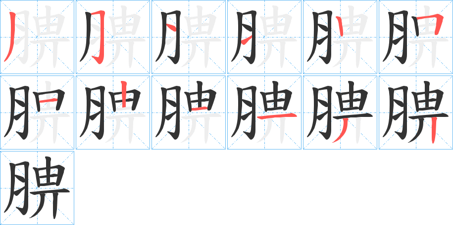 腗字的分步写法