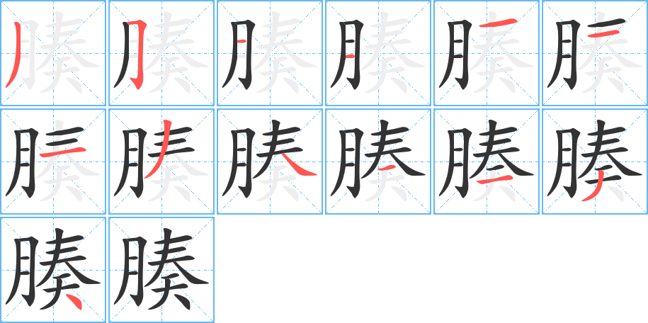 腠字的分步写法