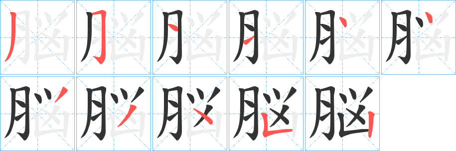 脳字的分步写法