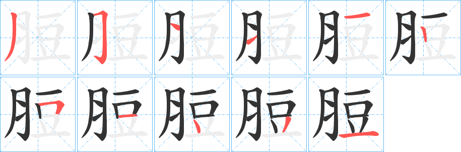 脰字的分步写法