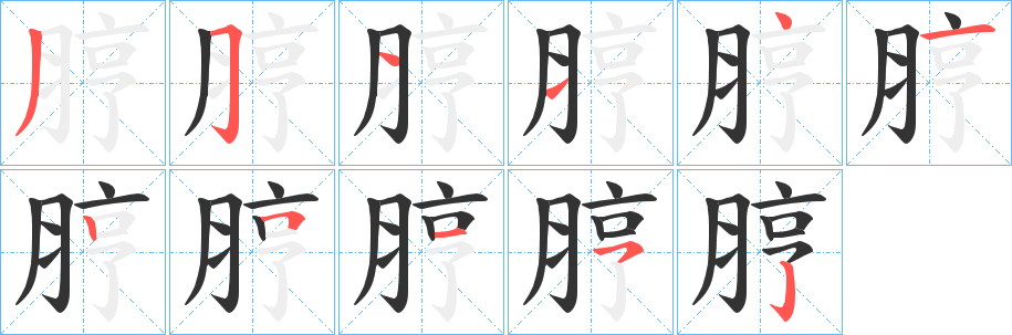 脝字的分步写法