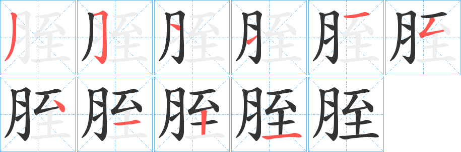胵字的分步写法