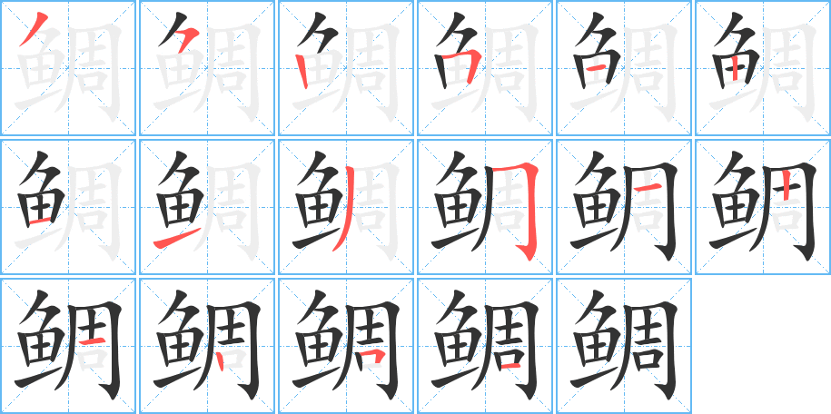 鲷字的分步写法