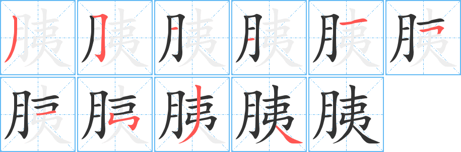 胰字的分步写法