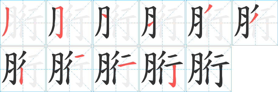 胻字的分步写法