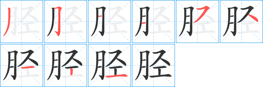 胫字的分步写法
