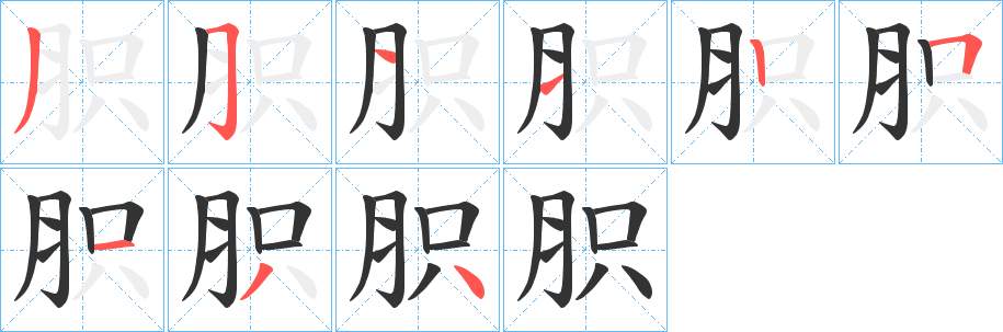 胑字的分步写法