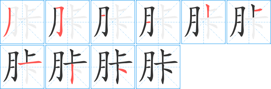 胩字的分步写法
