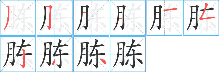 胨字的分步写法