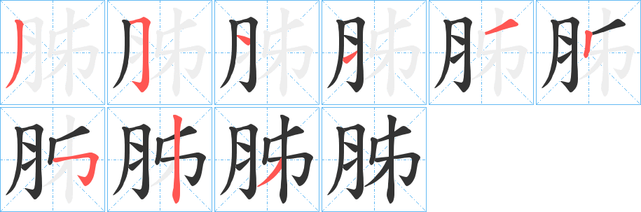 胏字的分步写法
