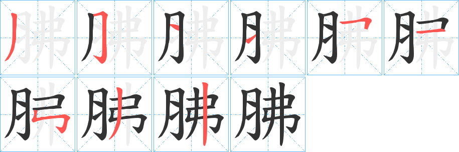 胇字的分步写法