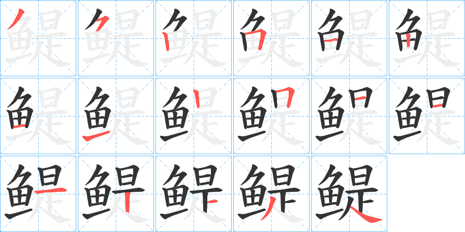 鳀字的分步写法