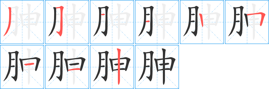 胂字的分步写法