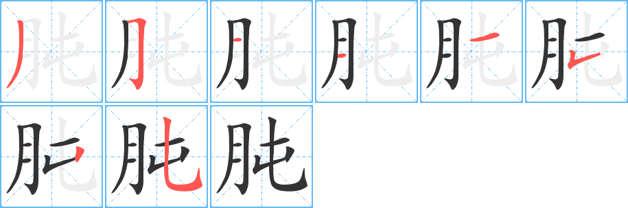 肫字的分步写法