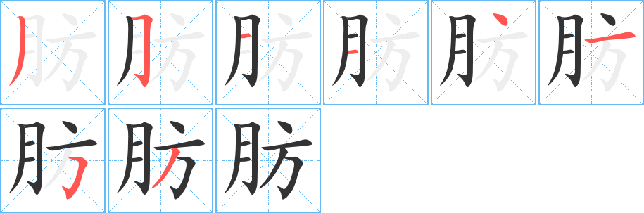 肪字的分步写法