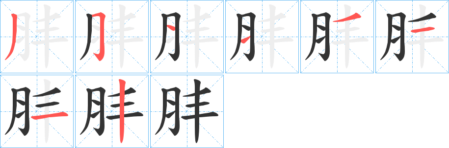 肨字的分步写法