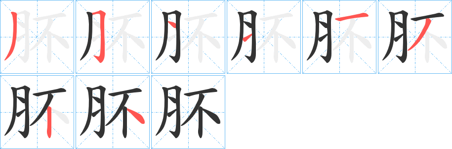 肧字的分步写法