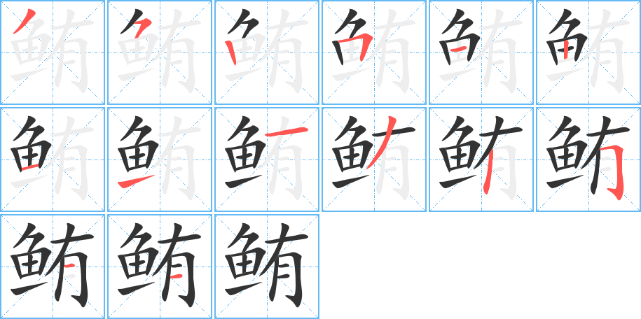 鲔字的分步写法