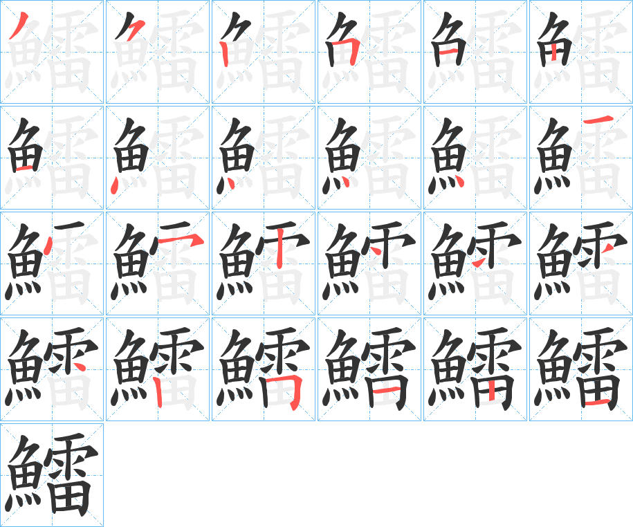 鱩字的分步写法