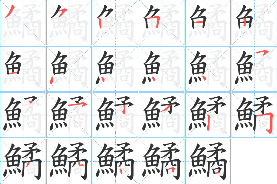 鱊字的分步写法