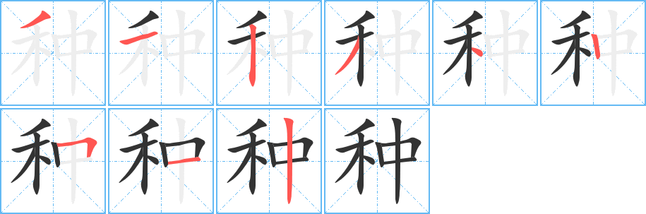 种字的分步写法