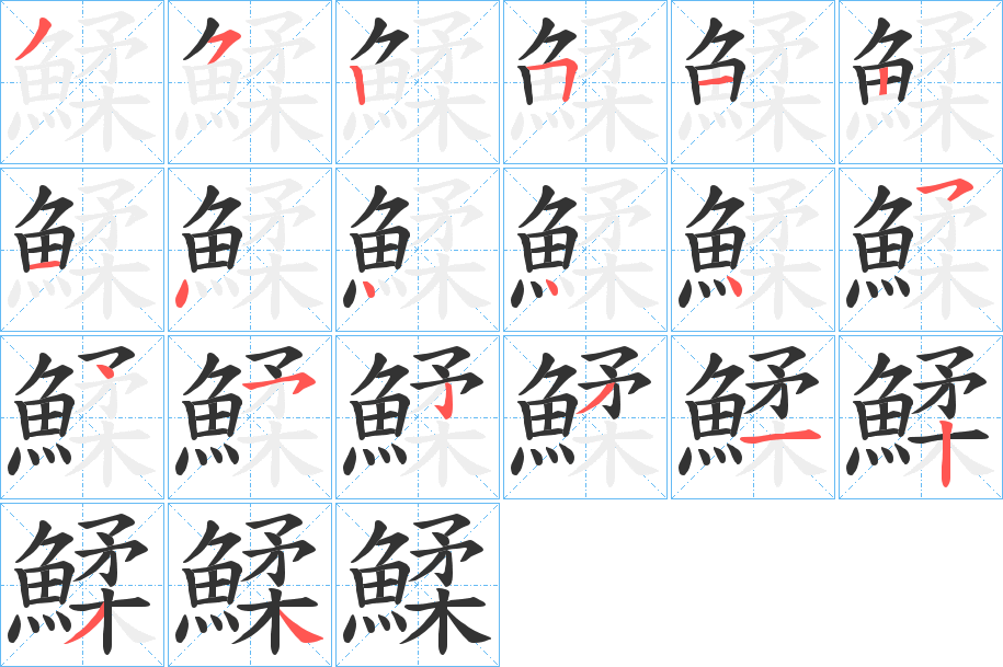 鰇字的分步写法