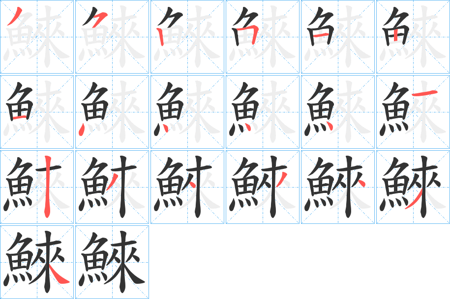 鯠字的分步写法