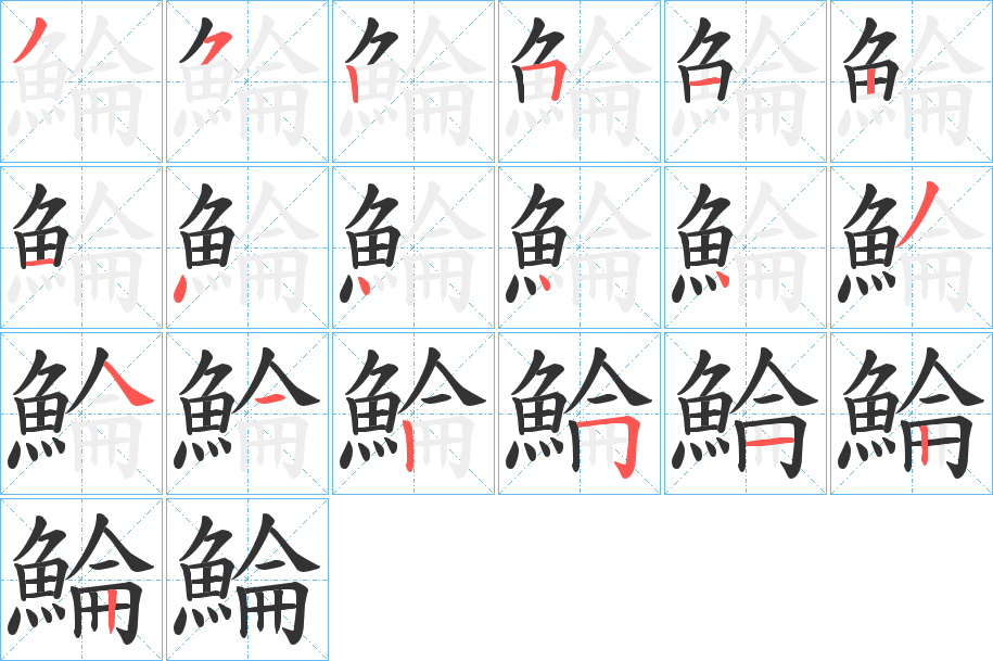 鯩字的分步写法