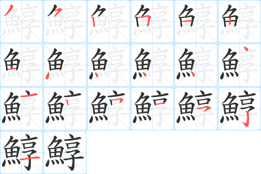 鯙字的分步写法
