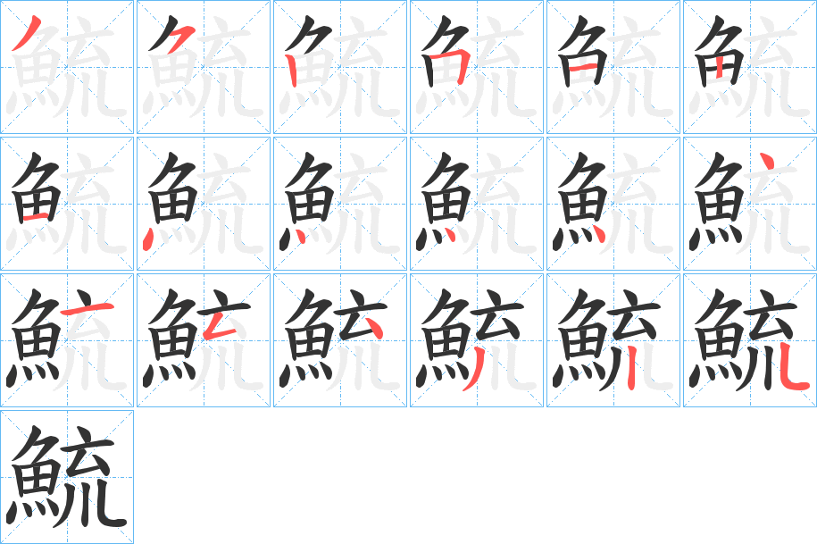 鯍字的分步写法