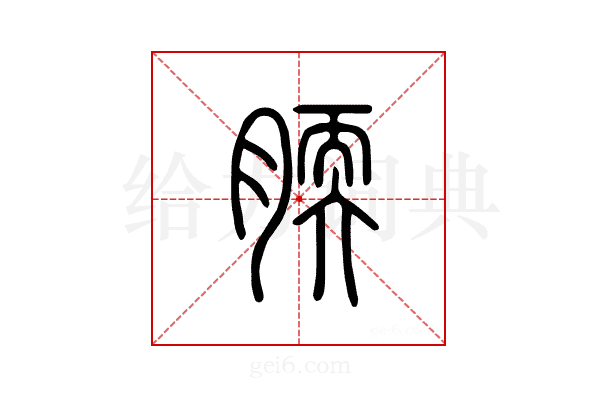 腝