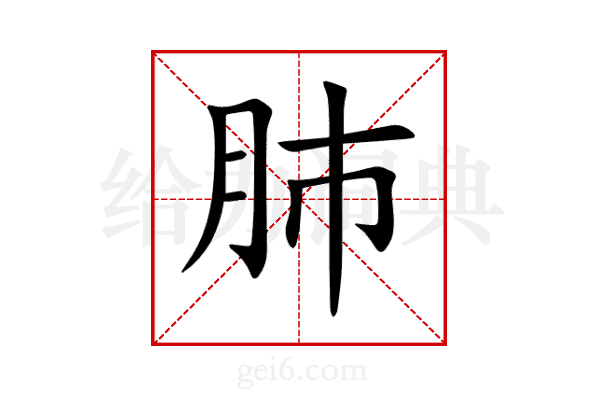肺