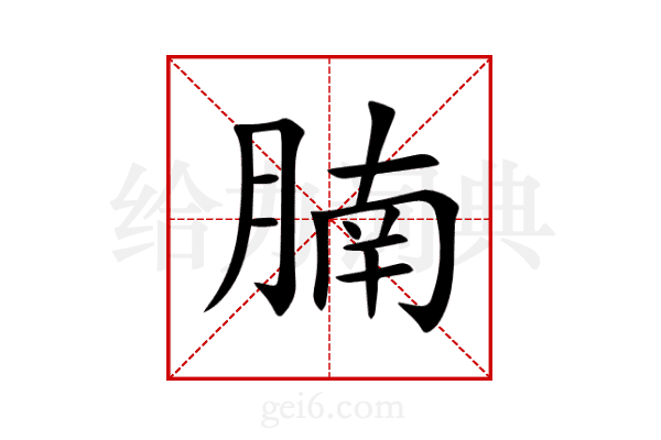 腩