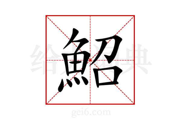 鮉