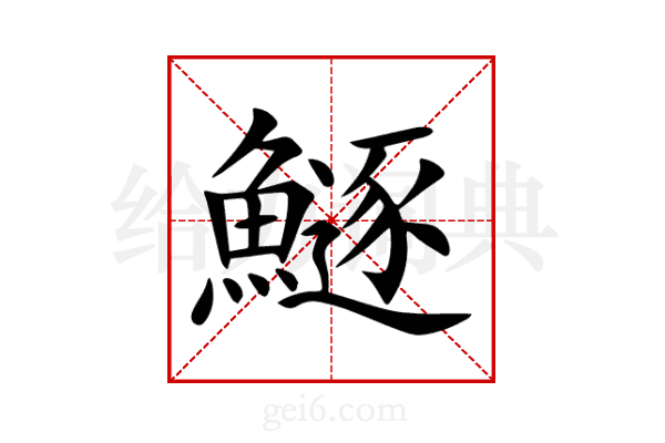 鱁