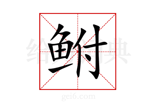 鲋
