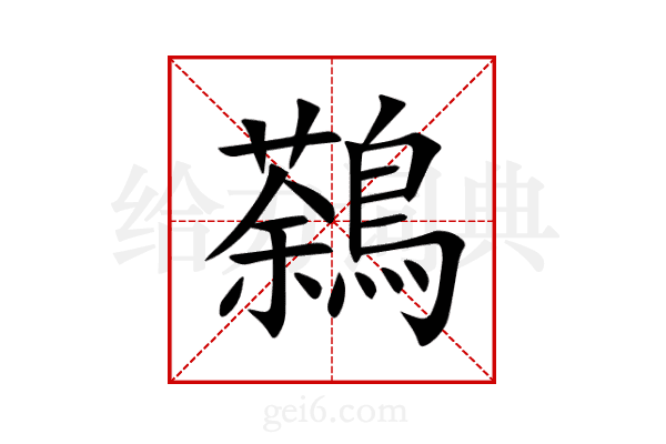 鷋